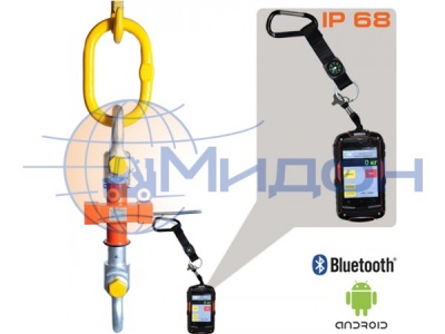 Весы крановые МК-30000Д (ВТ)